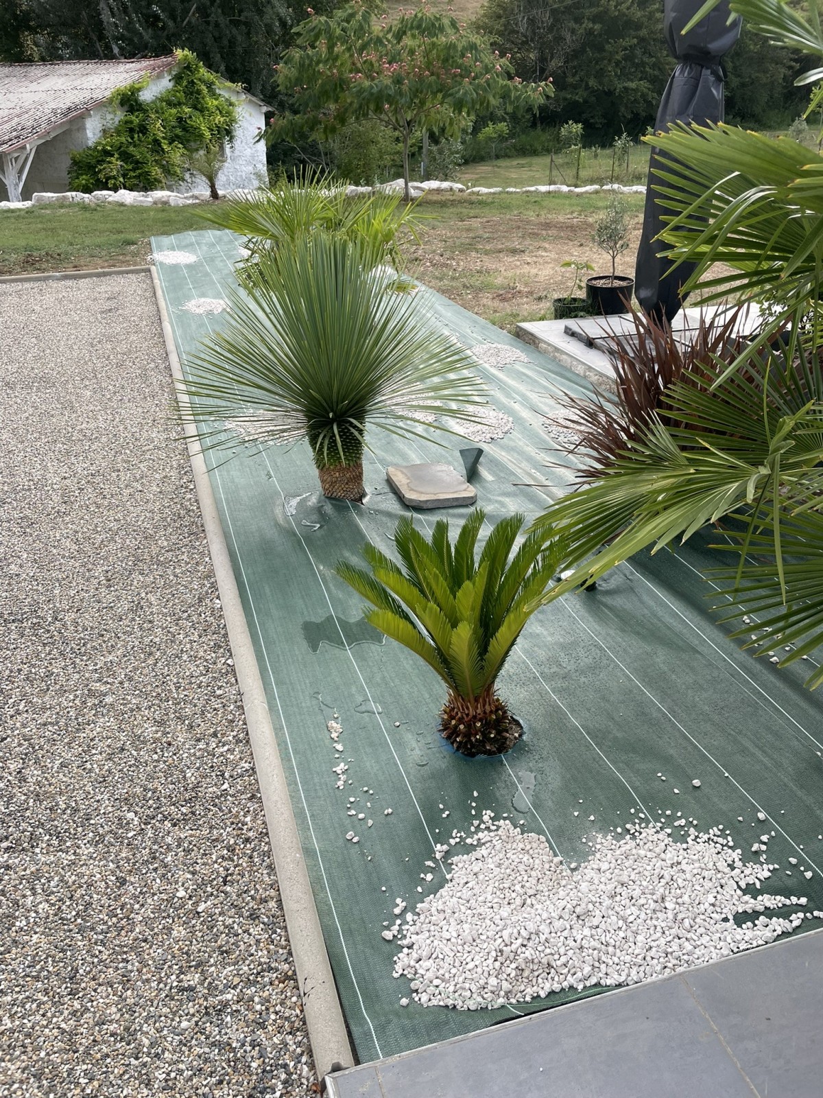 Largeur 1,28m Vert 130gr/m² Toile de paillage