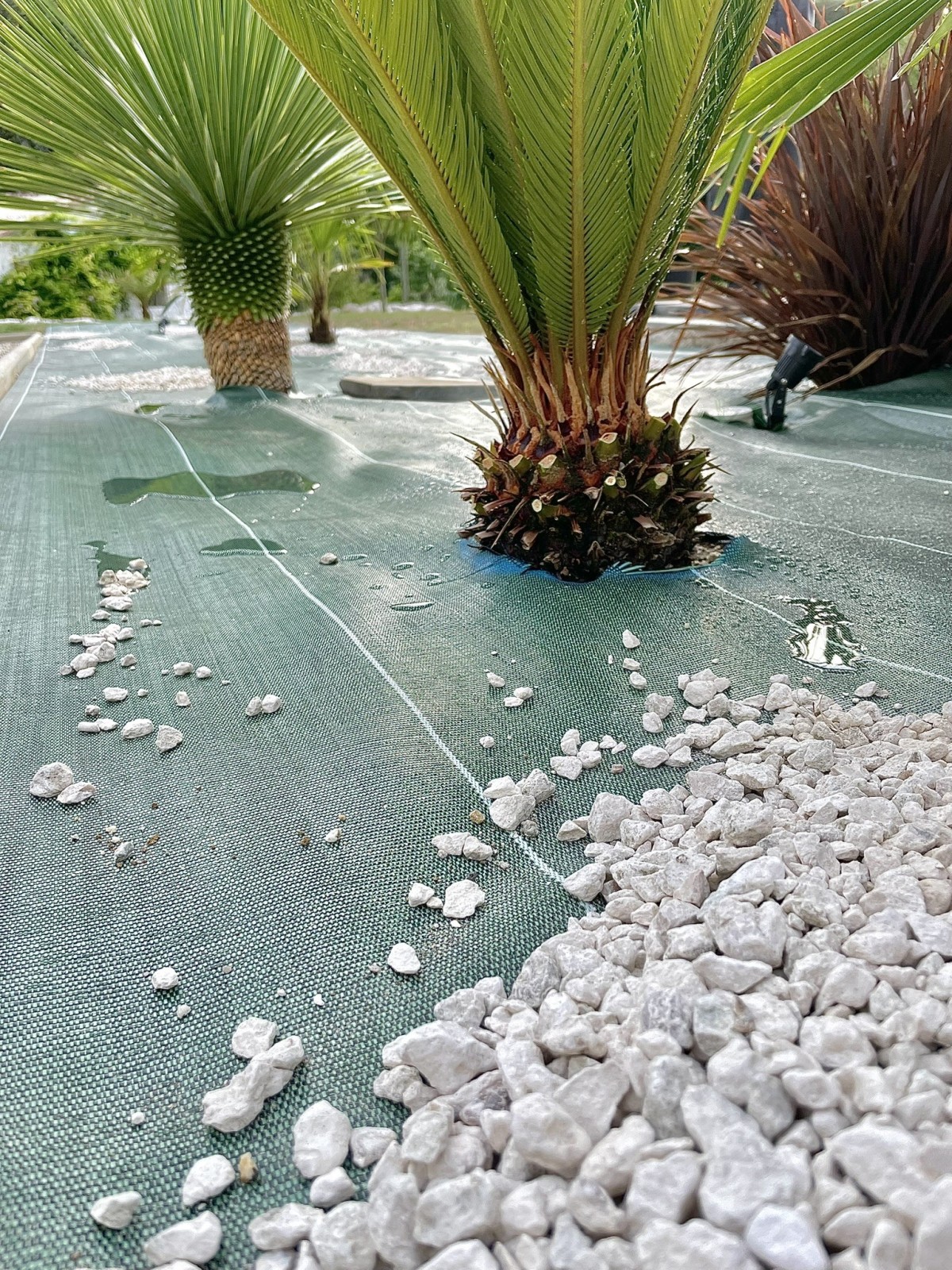 Largeur 1,38m Vert 130gr/m² Toile de paillage