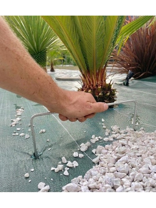 Agrafes 20cm/20cm/20cm