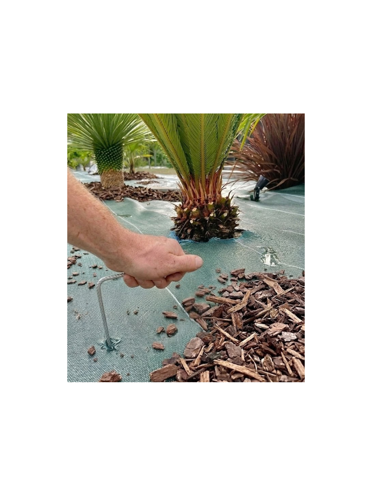 Agrafes sols durs ou caillouteux 24cm/9cm/4cm