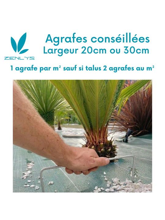Agrafes XL 20cm/30cm/20cm