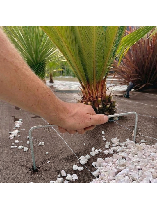 Agrafes 20cm/20cm/20cm