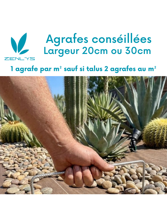 Agrafes 20cm/20cm/20cm