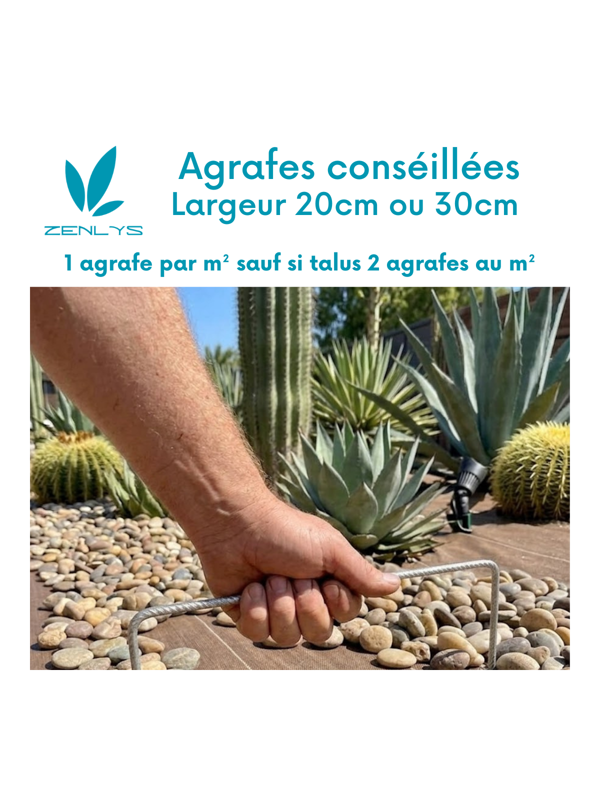 Agrafes 20cm/20cm/20cm